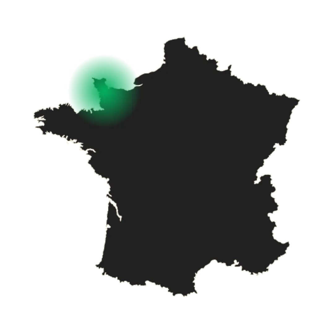 serveur pour professionnel coutances